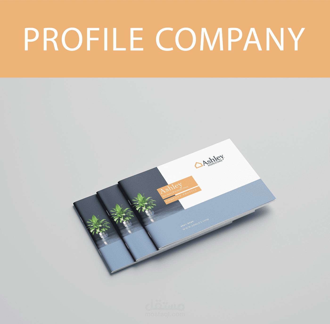 Company Profile