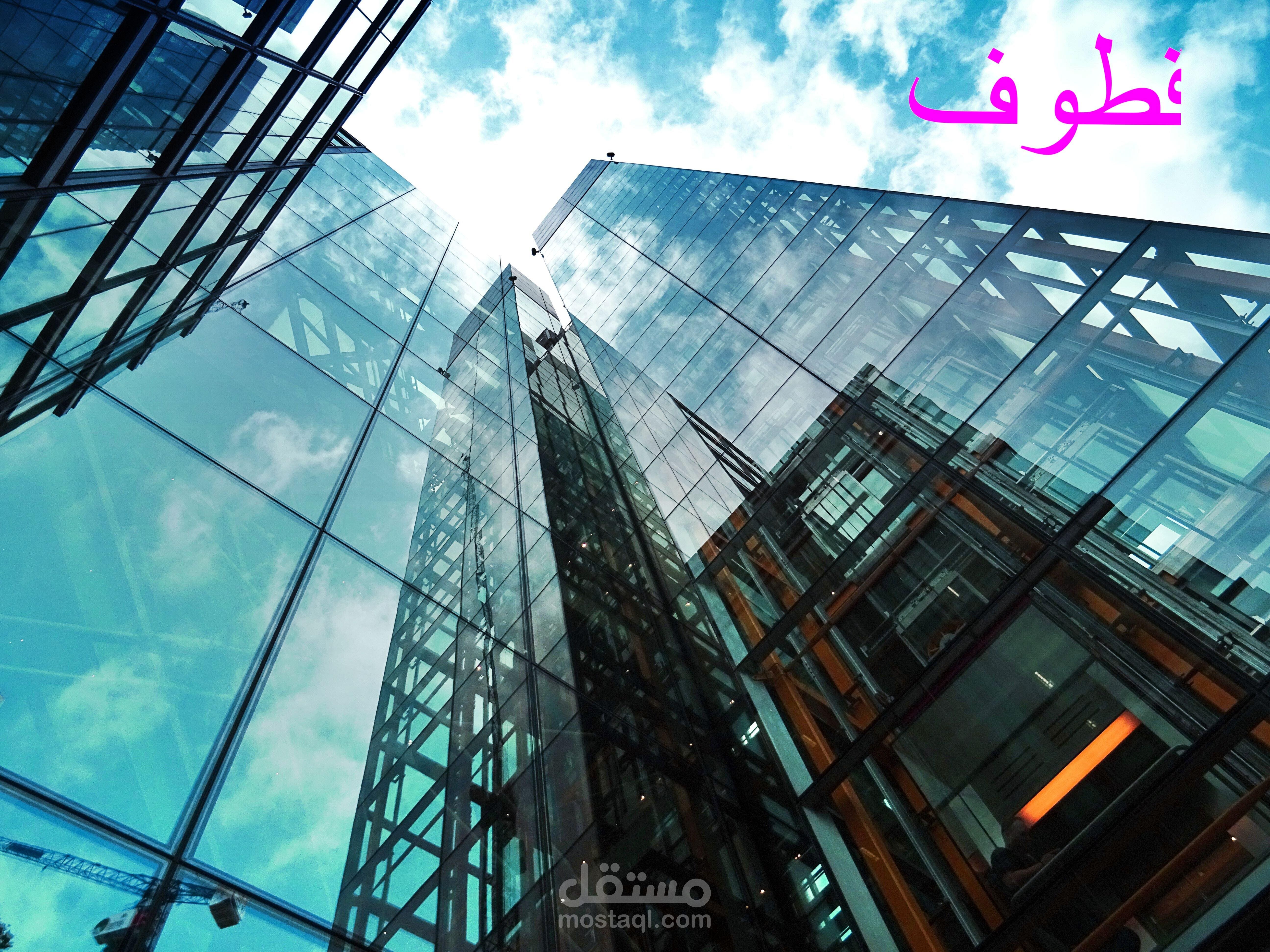 شركات التمويل، تحت شعار (ميثاق عالمى جديد) بين تحديات جمة وواقع مأمول