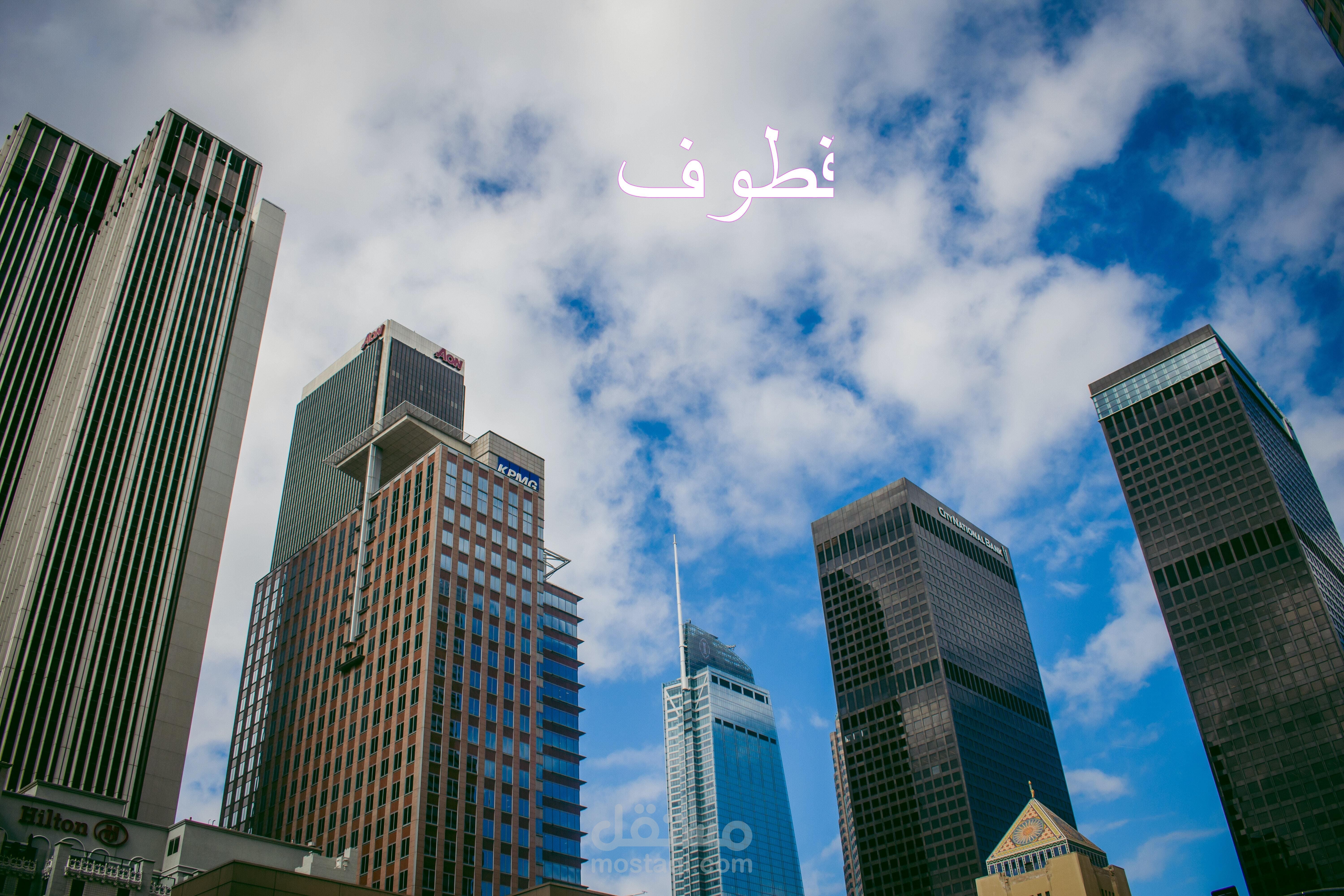 شركات تمويل أجنبية عالمية، مؤسسة التمويل الدولية
