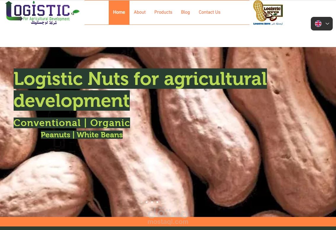 موقع تعريفي لشركة Logistic Nuts للاستصلاح الزراعي علي منصة Wix