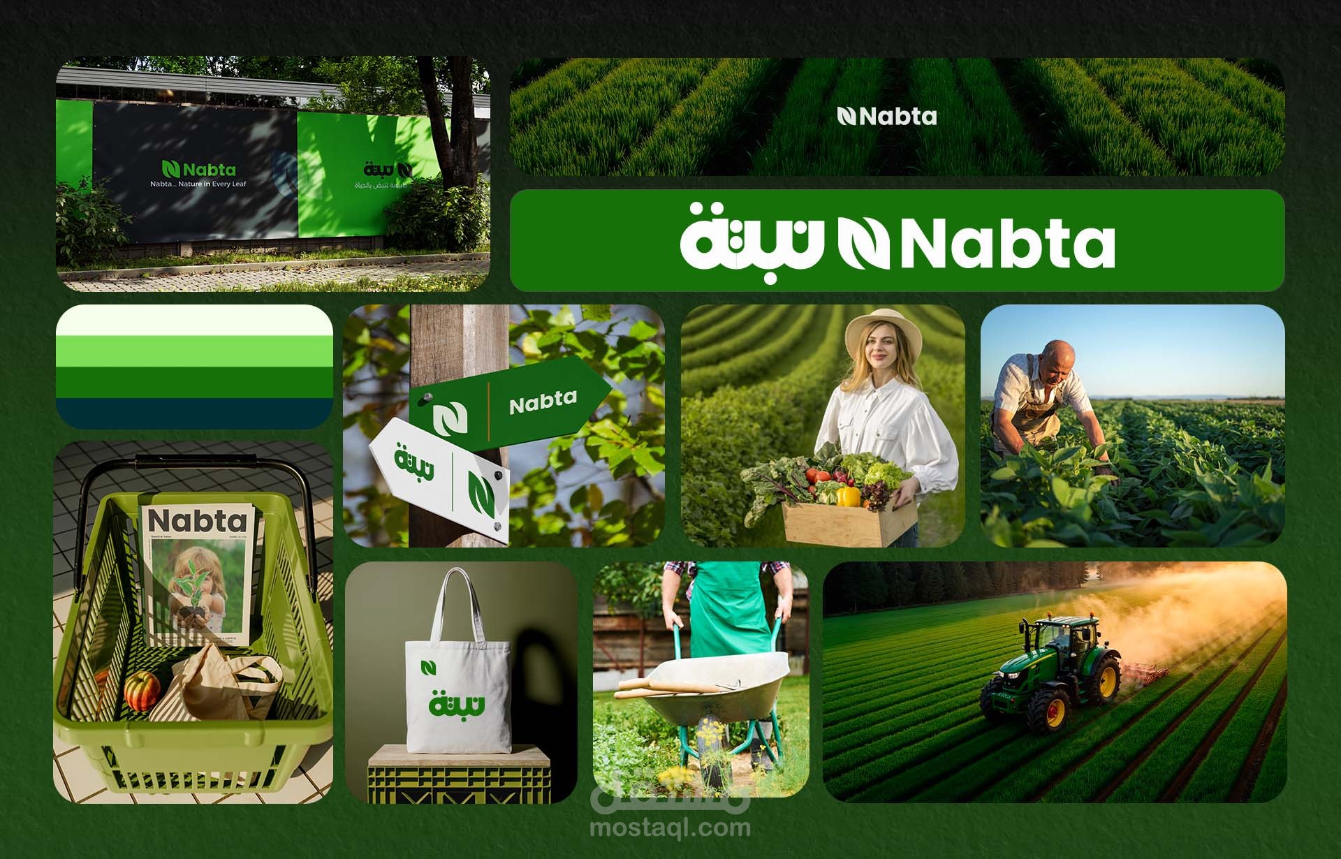 هوية بصرية لمشروع NABTA الزراعي | Agriculture NABTA Brand Identity