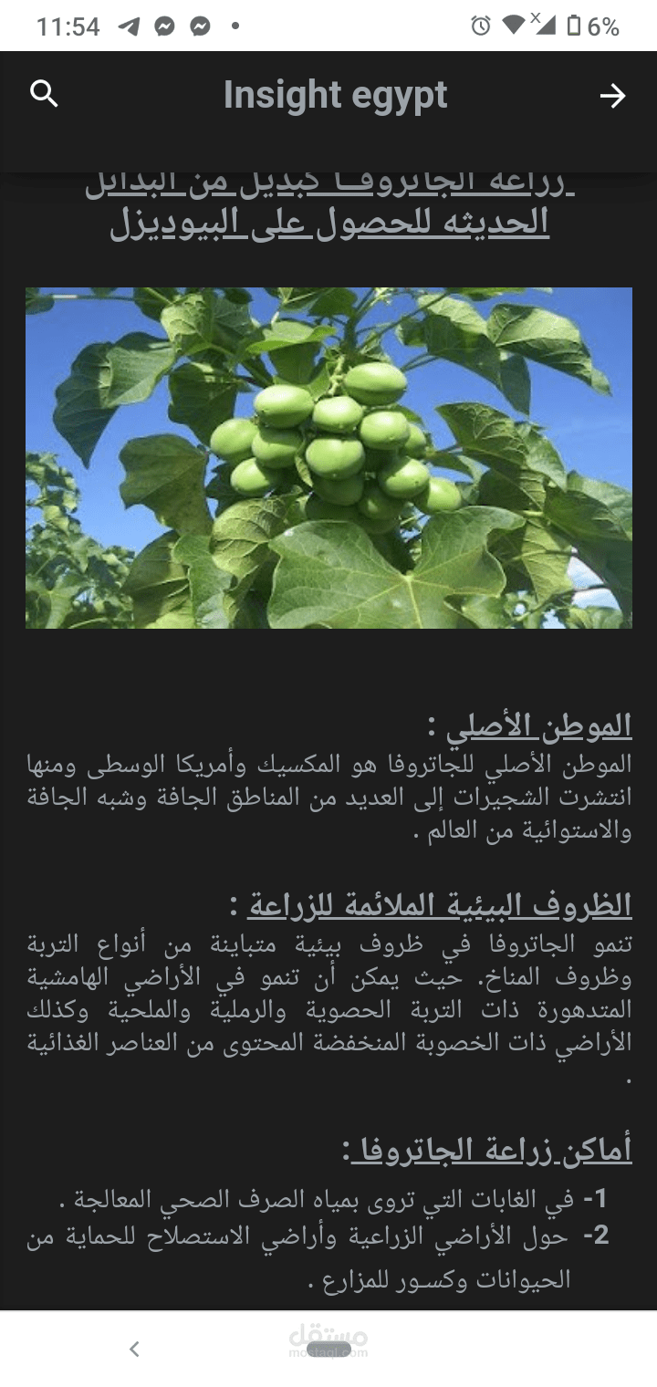 تحقيق صحفى عن بدائل الطاقة