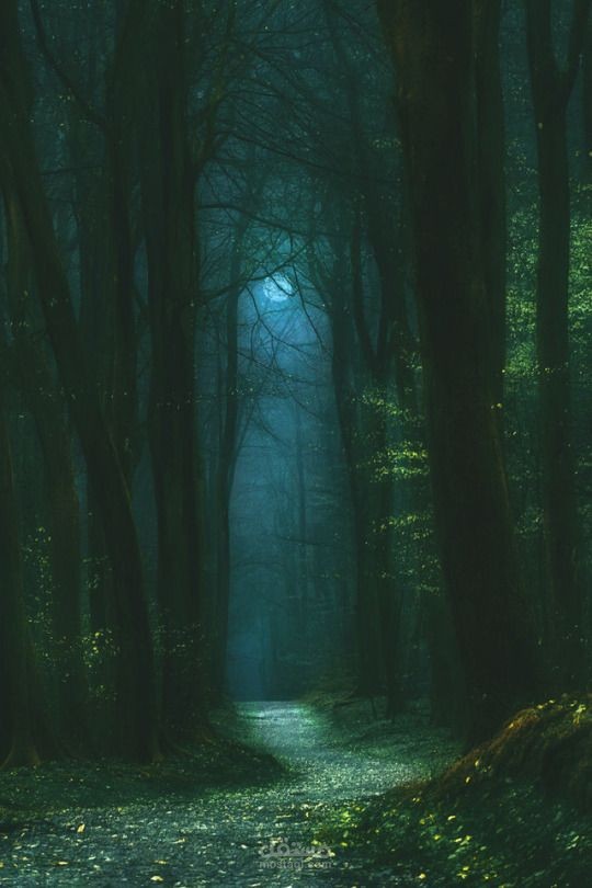 عالم الظلام....تقرير صحفى يوضح لنا اصعب سنة مرة على تاريخ البشرية