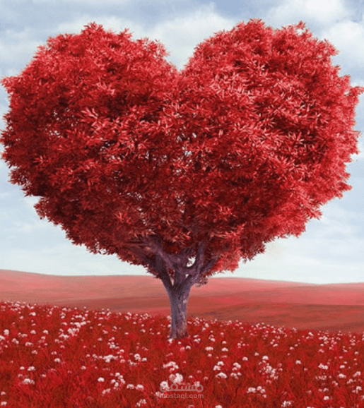 حب الله ورسوله