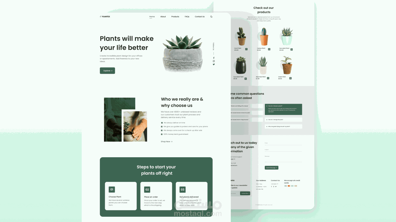 Responsive Website - plantes