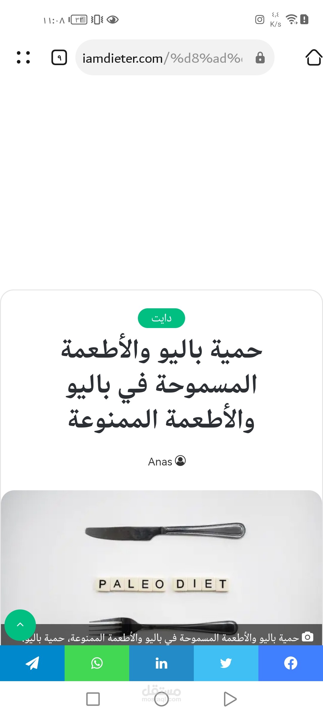 مقالة عن حمية باليو