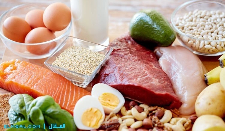 البروتينات