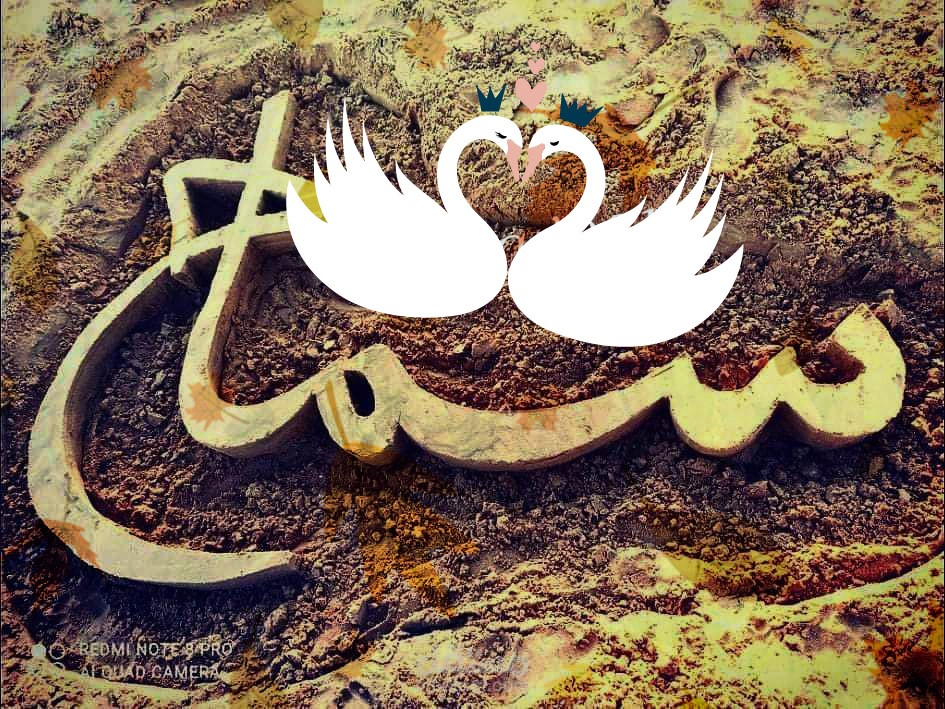 تعديل وتصميم
