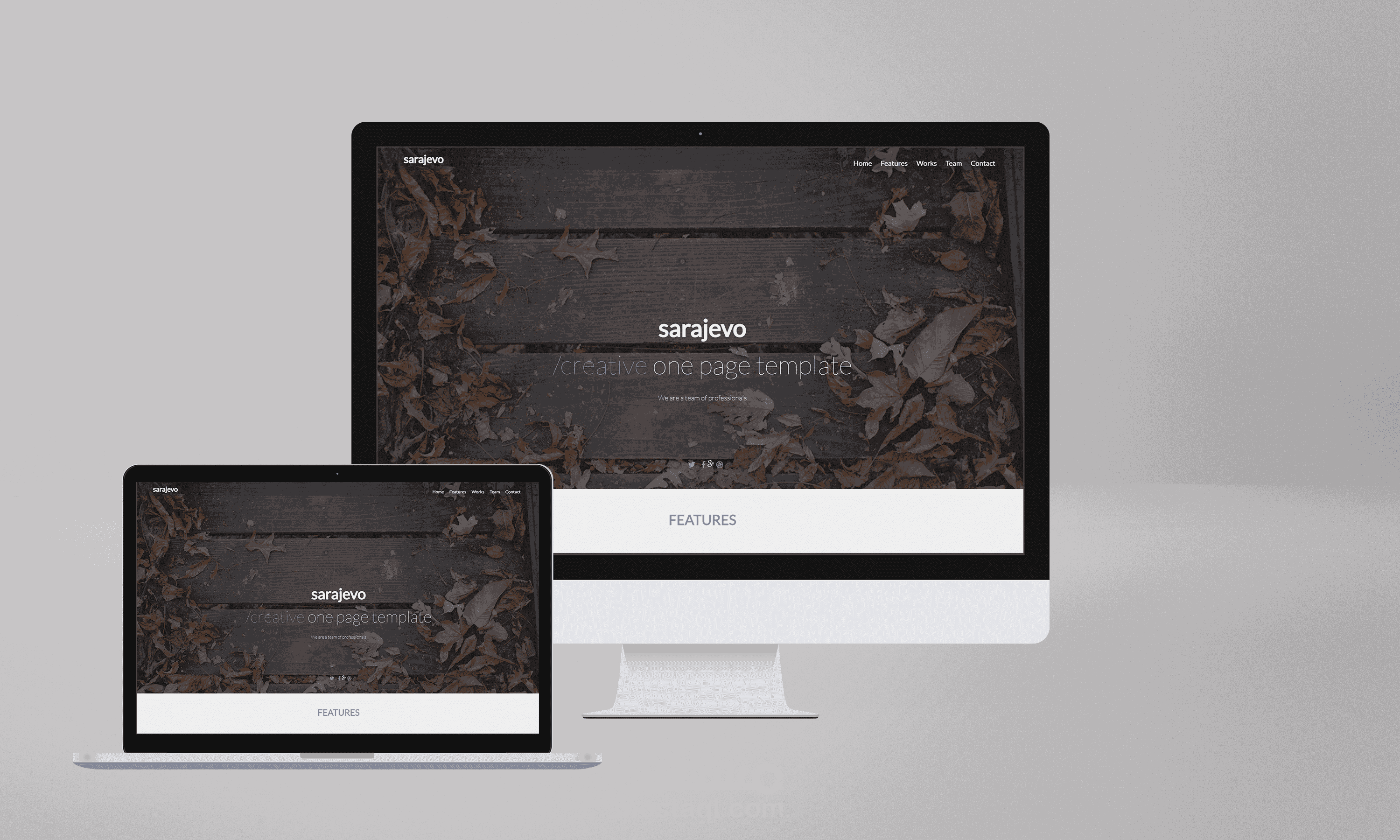 landing page