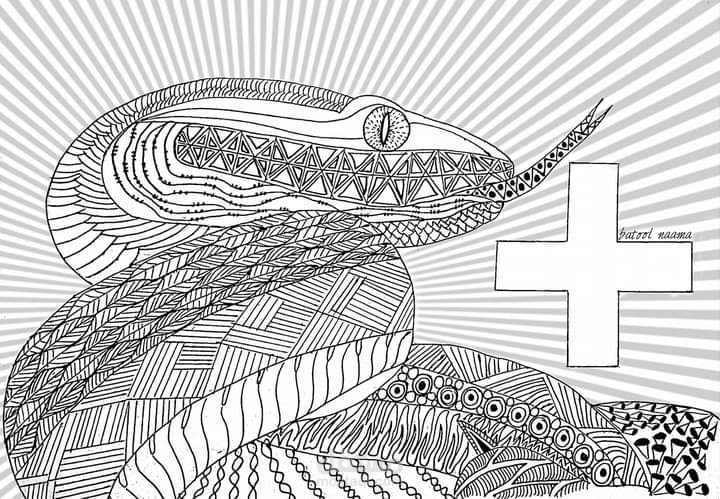 Illustration