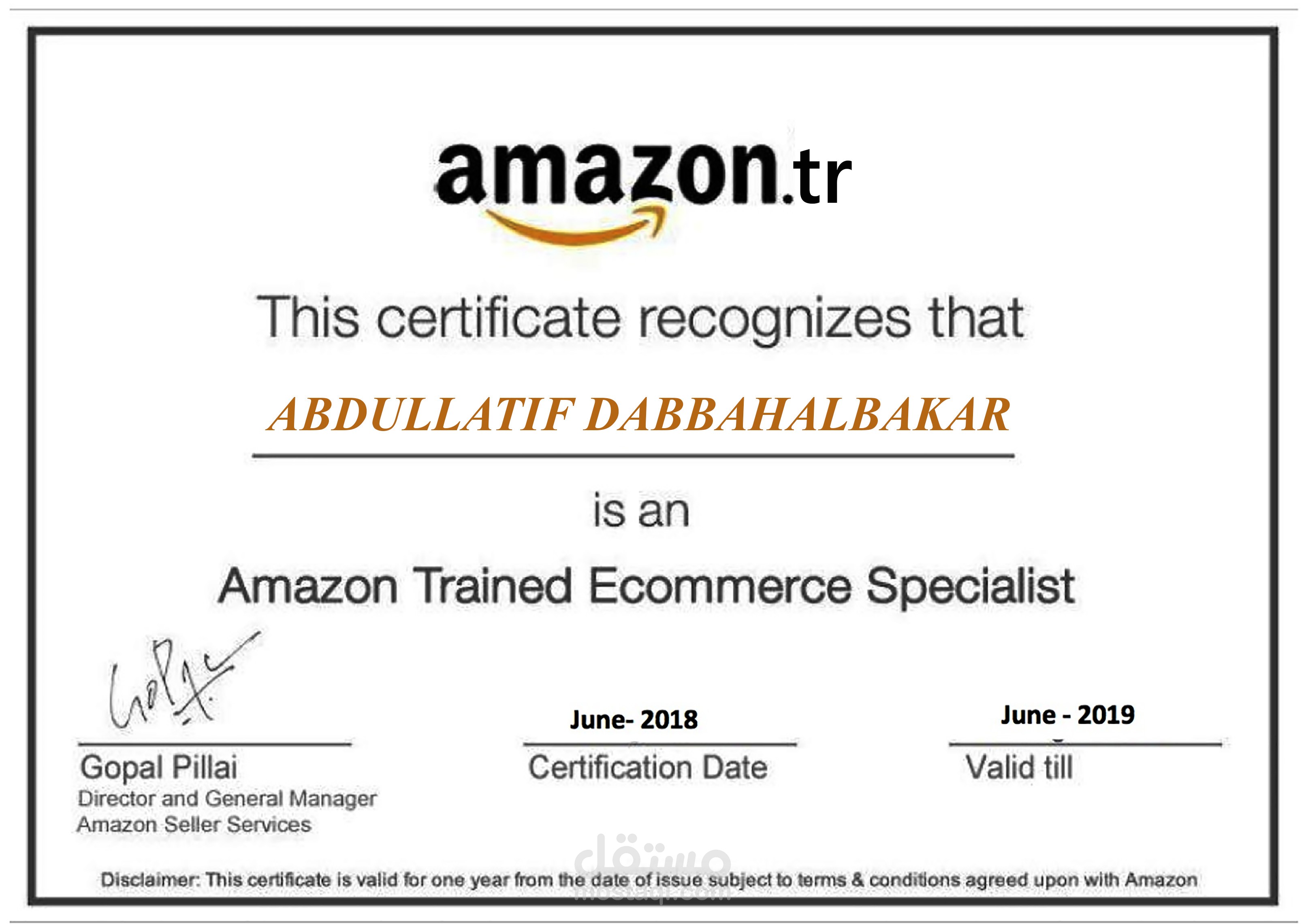 Amazon E-commerce Specialist