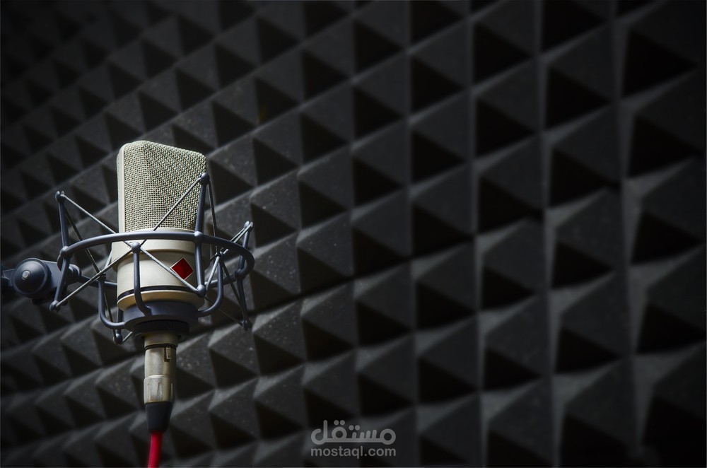 التعليق الصوتي