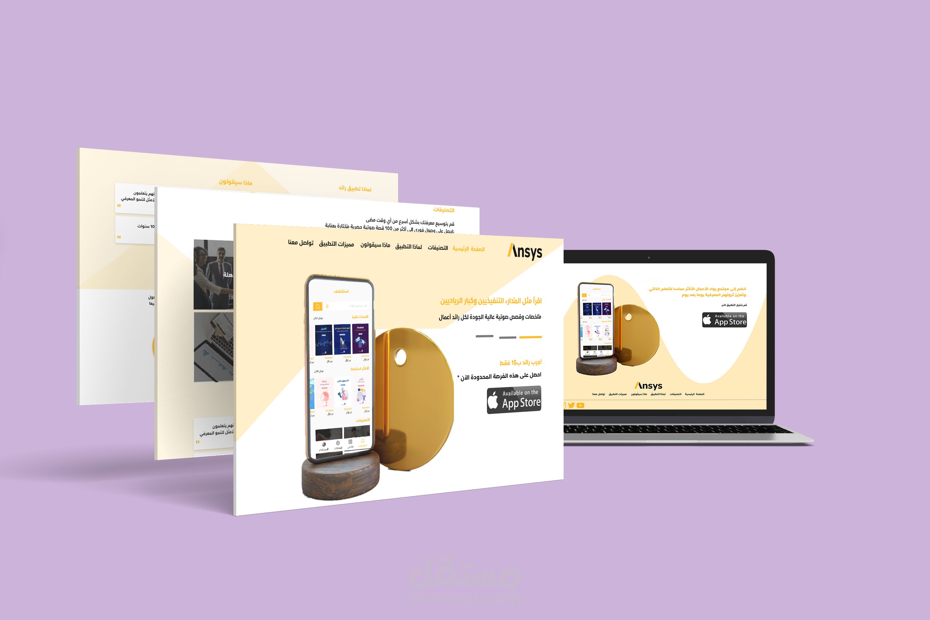 Landing Page for Ansys application