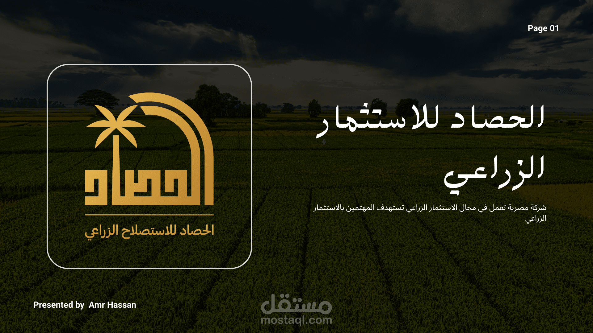 التعاون مع شركة استثمار زراعي