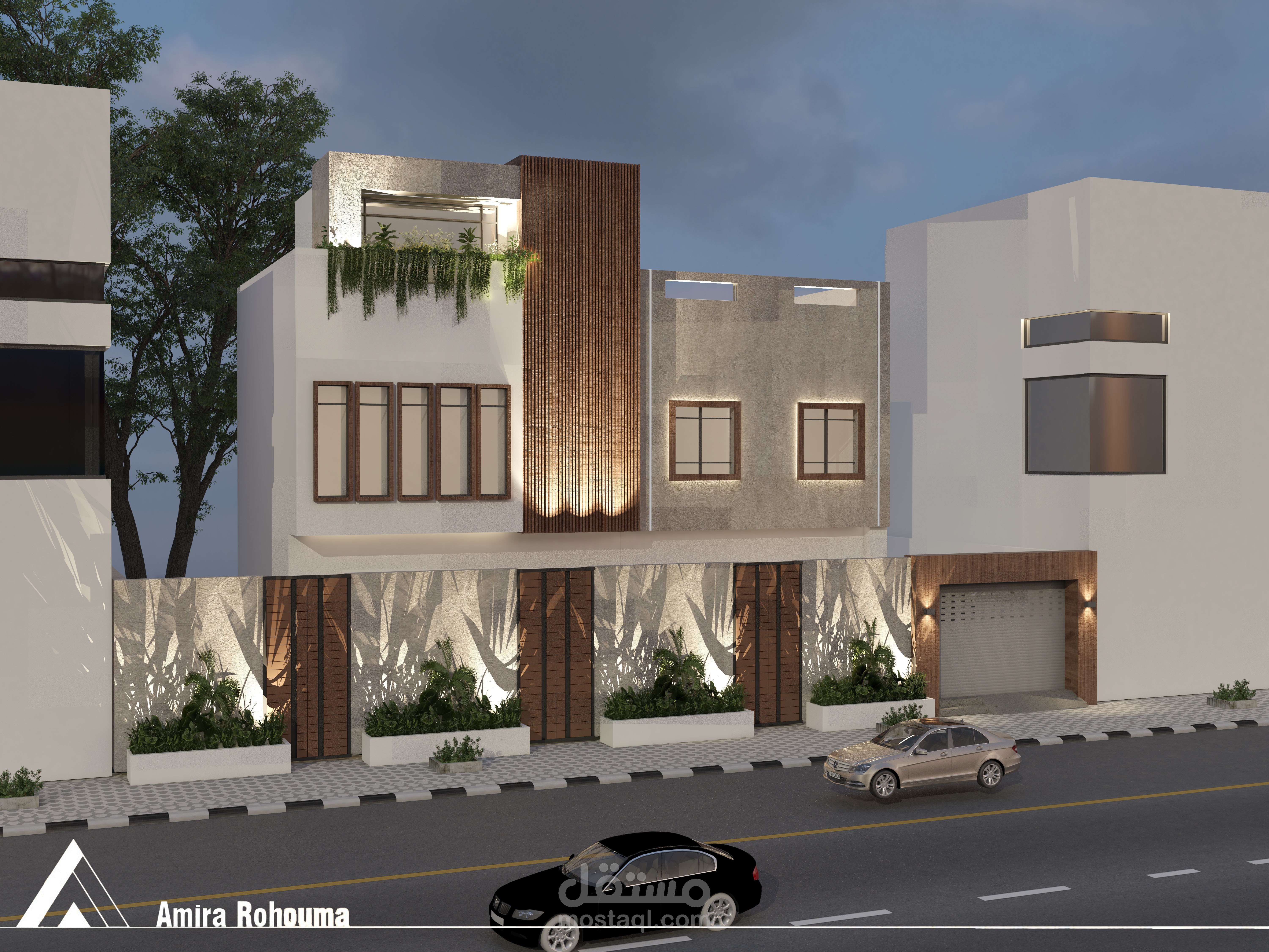 Exterior villa design