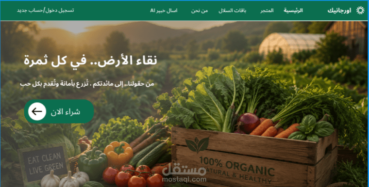 تصميم صفحات ويب بشكل احترافي