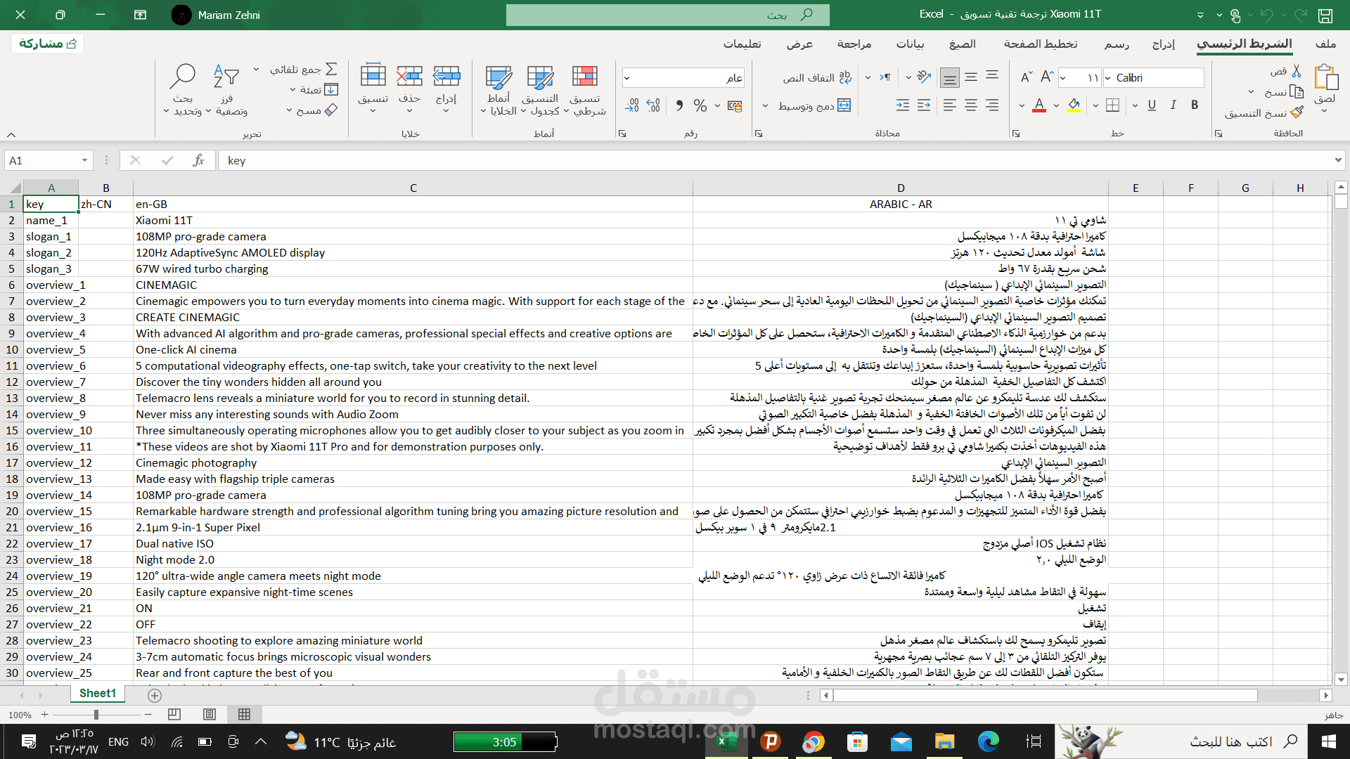 ترجمة تقنية