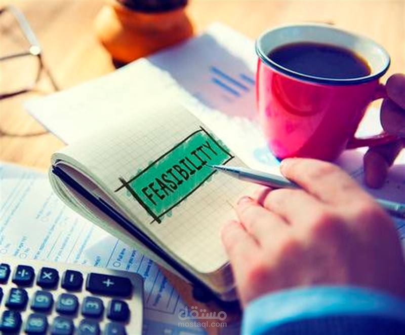 دراسة جدوى المشرواعات