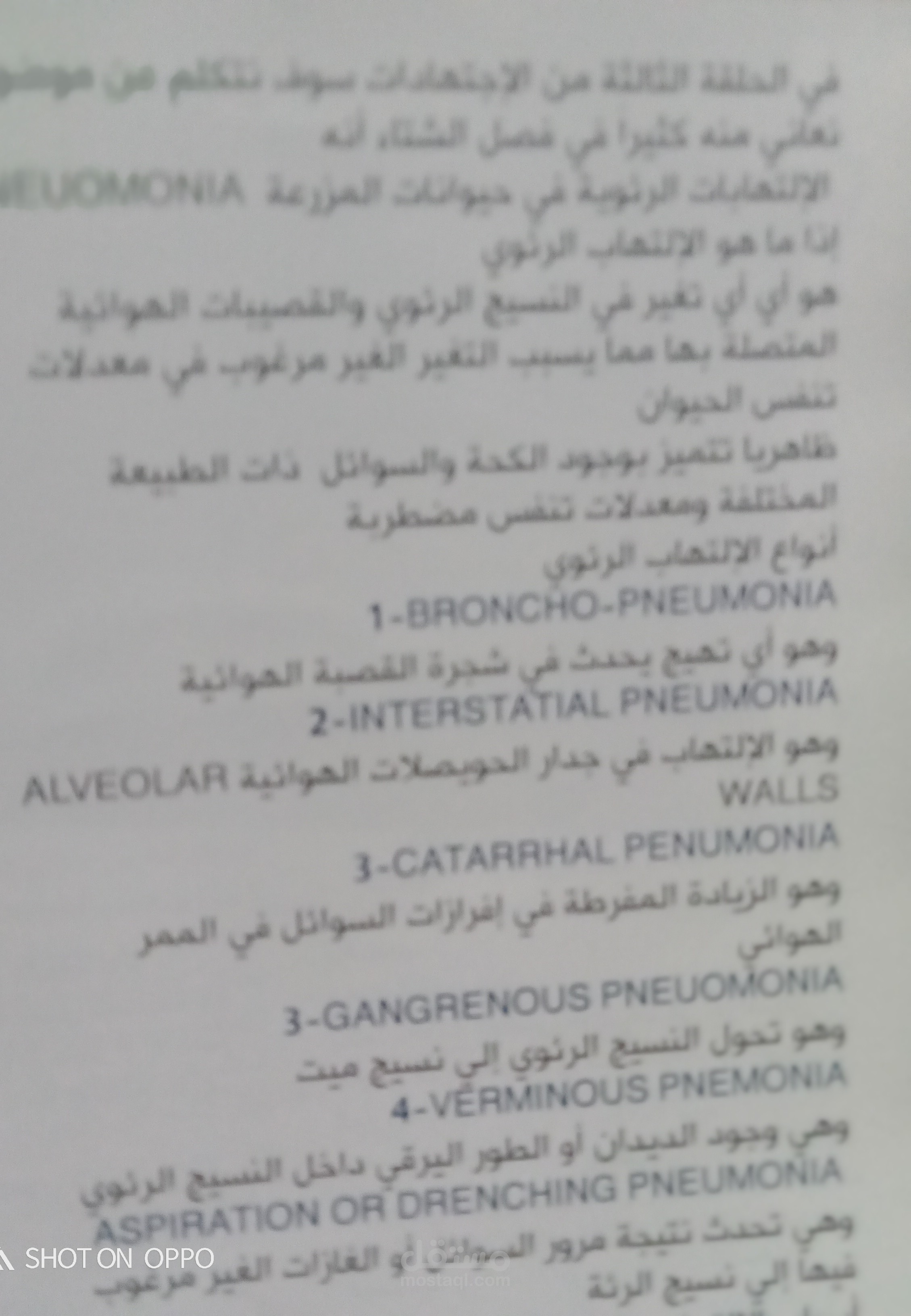 مقال عن الأمراض التنفسية فى الارقار