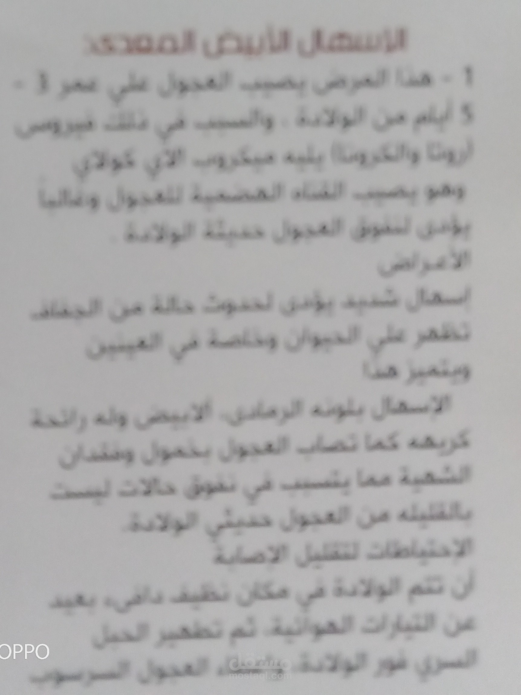 صورة مقال عن الأمراض فى الابقار
