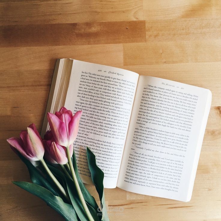 كتابة مقالات