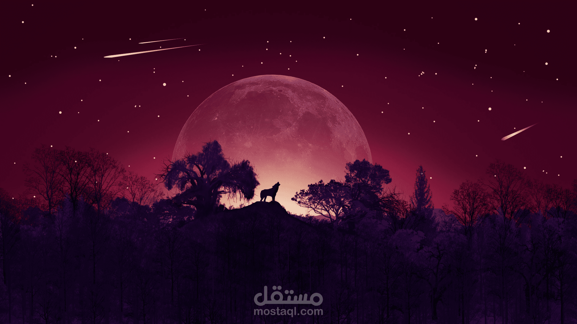 محترف في تصميم الخلفيات