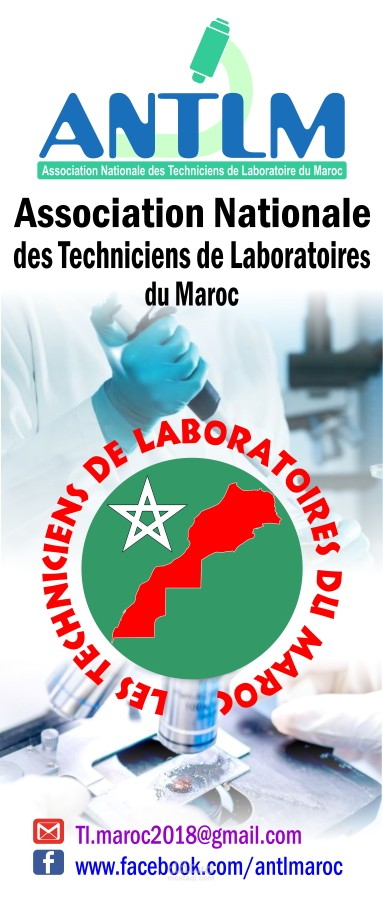 تصميم رولاب Roll UP