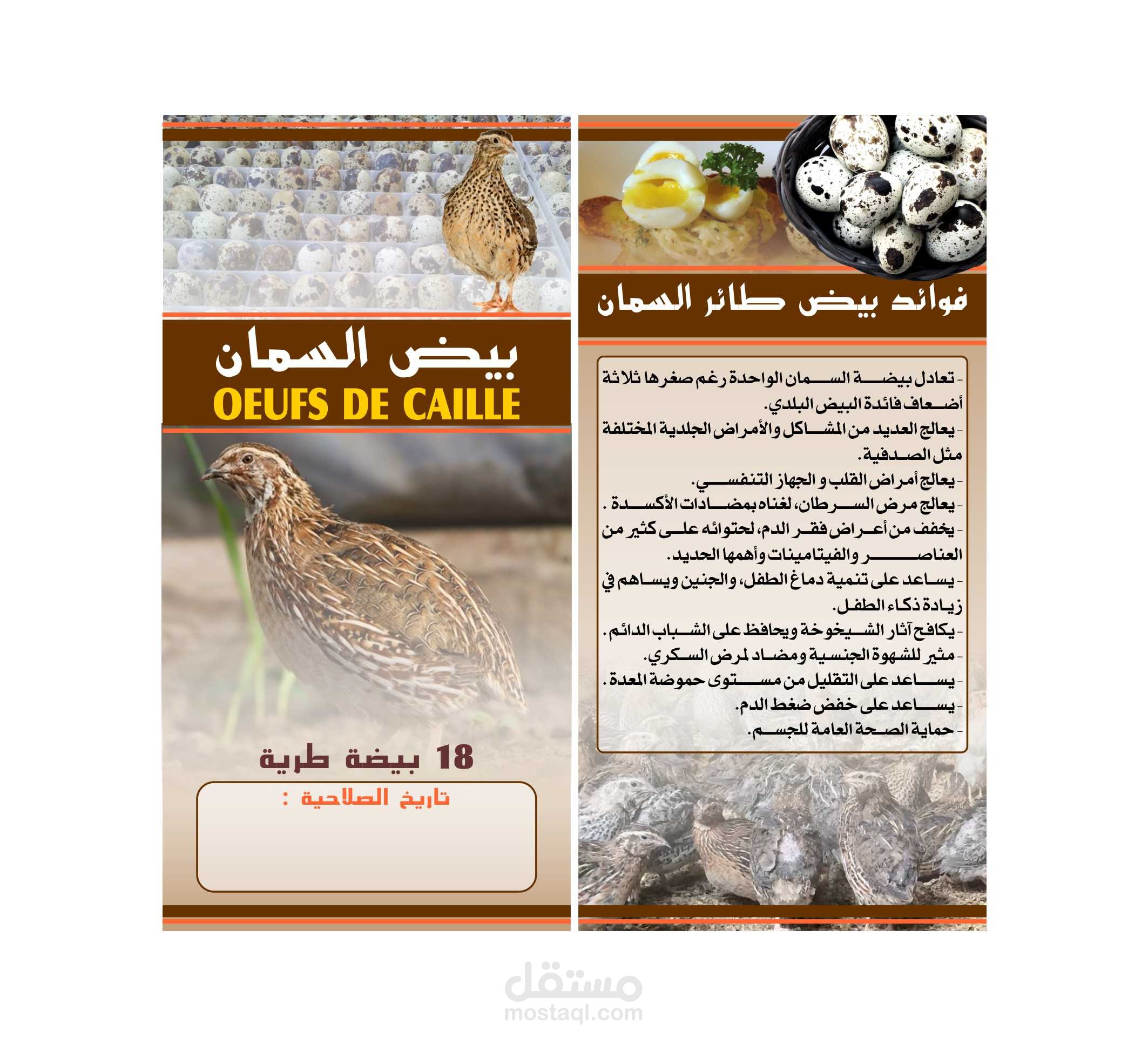 تصميم ملصقات