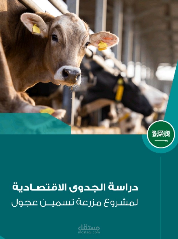 دراسة الجدوي الاقتصادية لمشروع مزرعة تسمين عجول