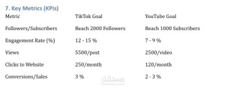 استراتيجية تسويق عبر TikTok و YouTube