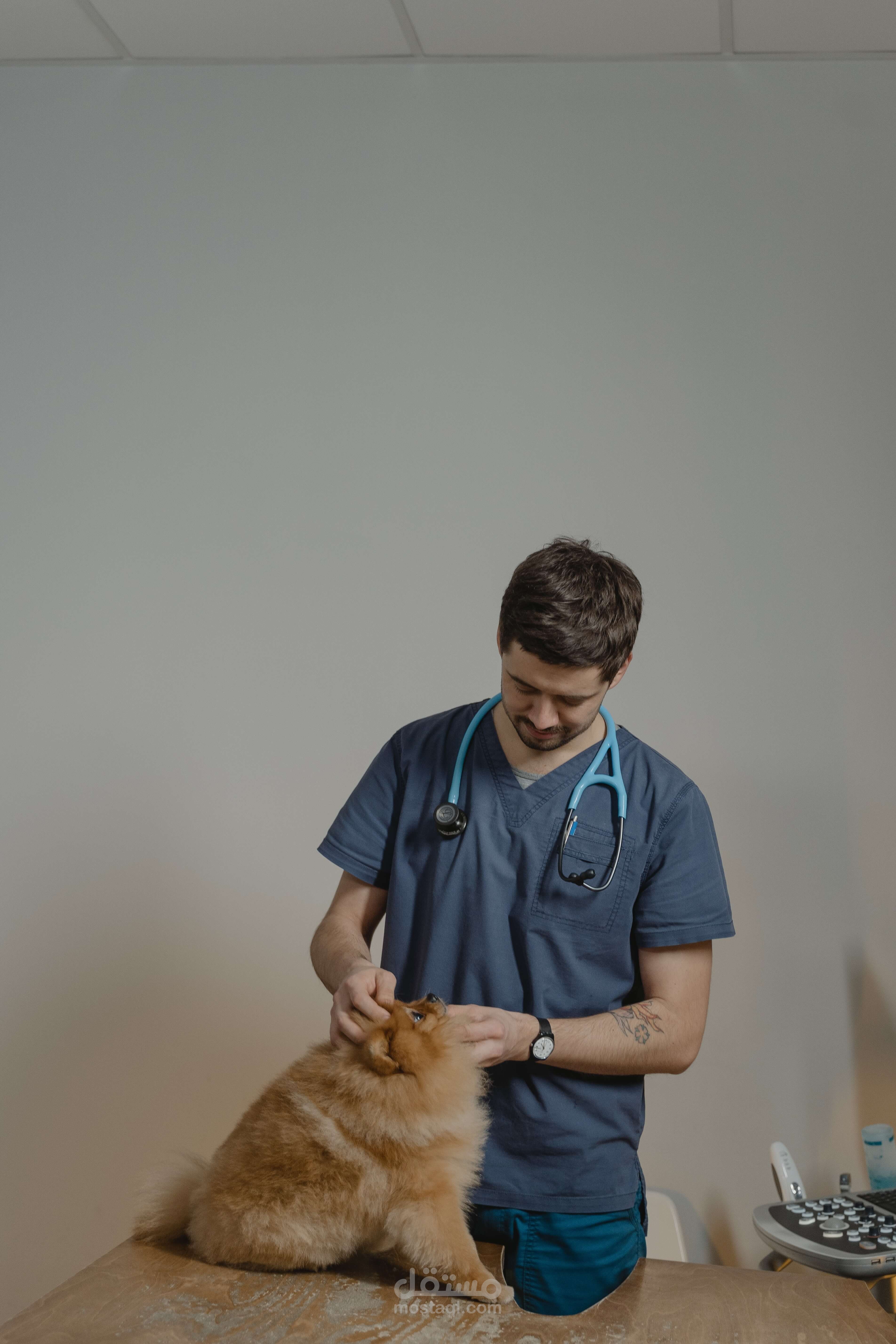 alliance animal health hospital
