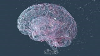 مسح جديد لخلايا المخ كشف عن (الشيفرة السرية) لعمل ذاكرته الأساسية
