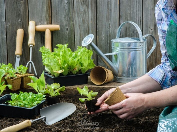 موقع متجر المنتجات الزراعية