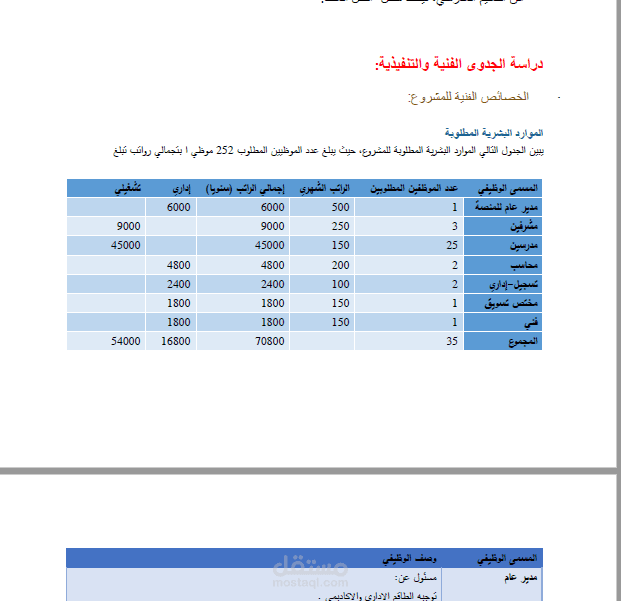 دراسة جدوى اقتصادية