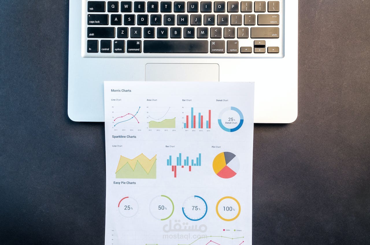 تدقيق و إدخال البيانات Data Entry