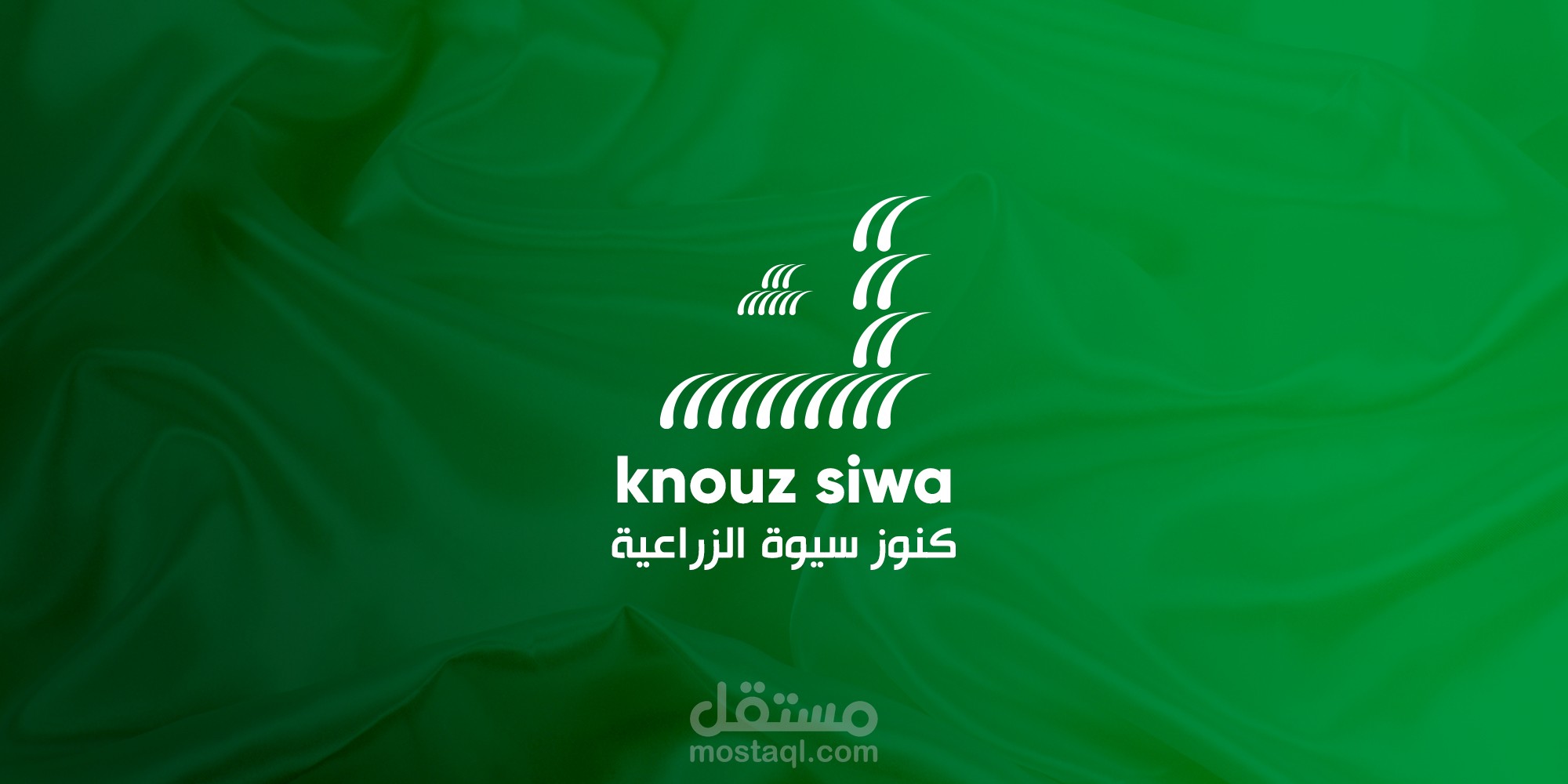 شركة كنوز سيوة الزراعية "هوية بصرية"