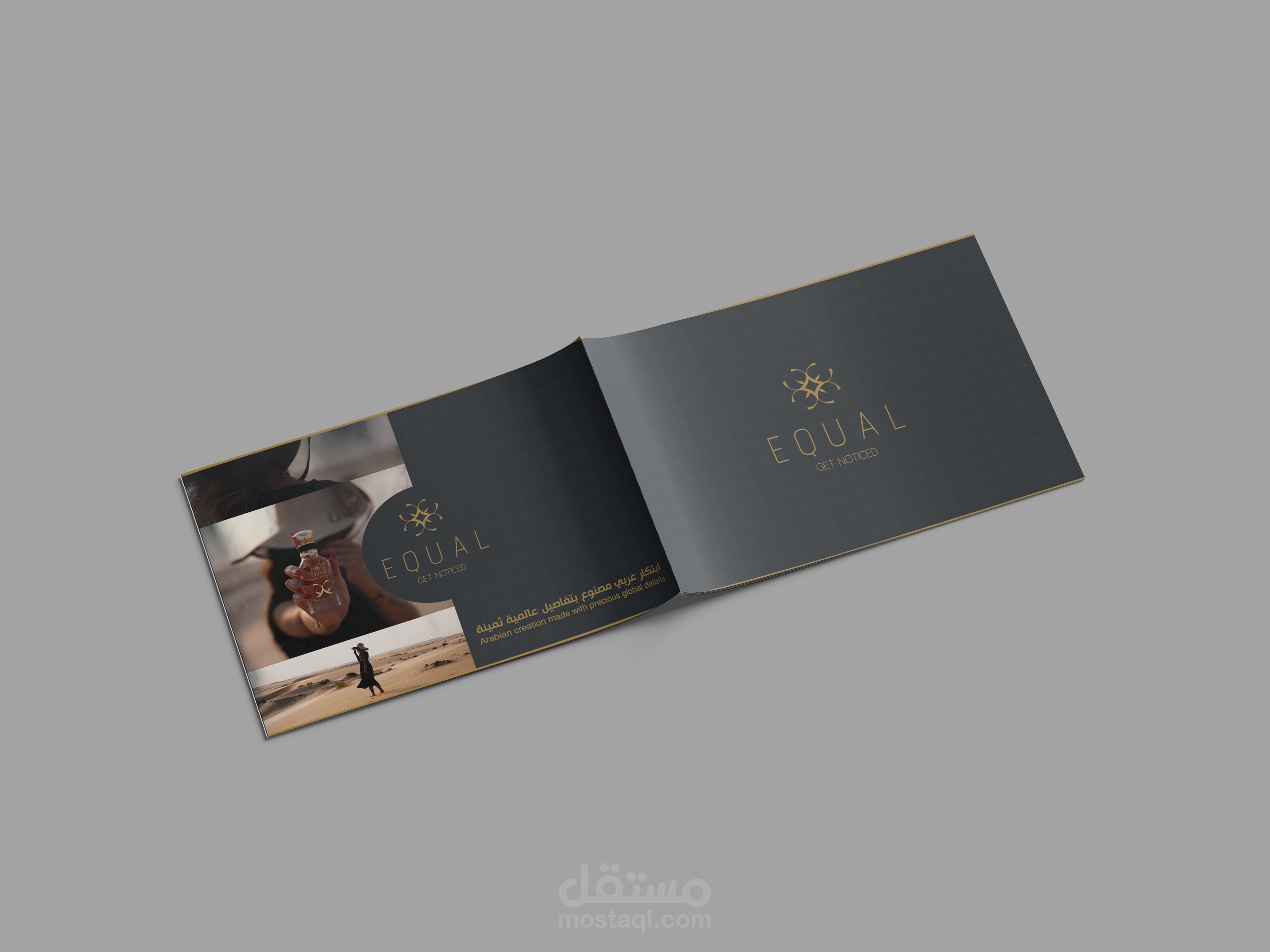 company profile for equal company