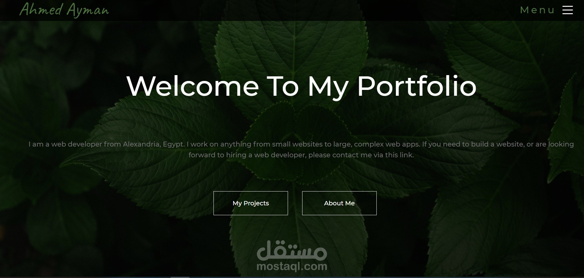 Portfolio Website