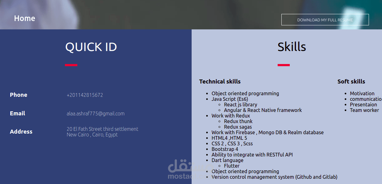 Business CV - Website Template