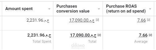 حملة إعلانية بهدف زيادة المبيعات - Conversion