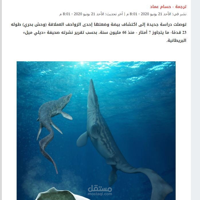 ترجمة صحفية احترافية – الشروق