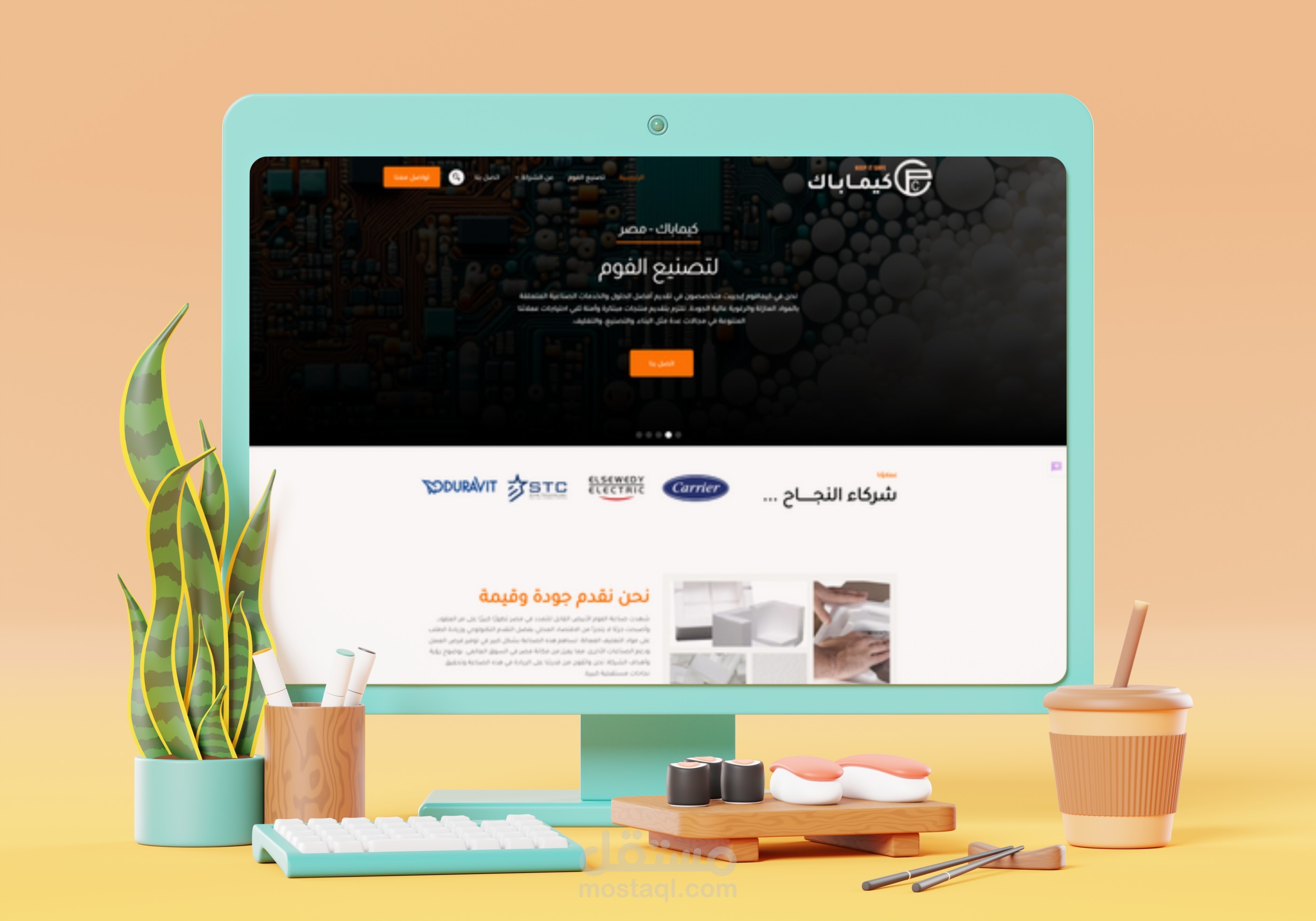 موقع تعريفي لشركة انتاج فوم التغليف