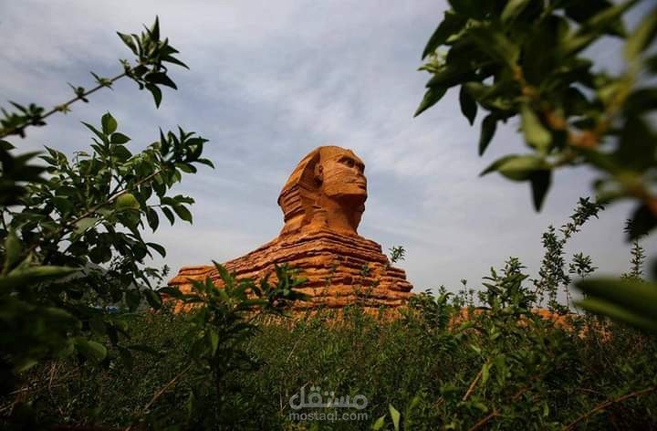 انا اعمل مدرس ومبرمجا