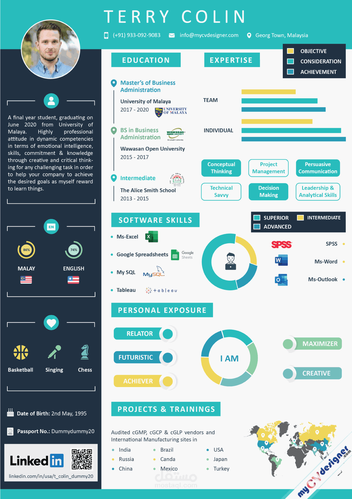 تصميم انفوجرافيك سيرة ذاتية Infographic CV design