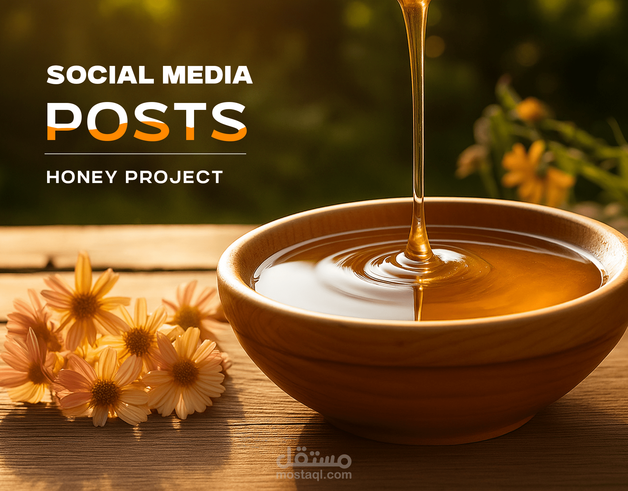 social media posts honey project