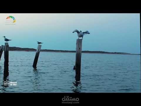 يوم من جازان بحر الطرفة