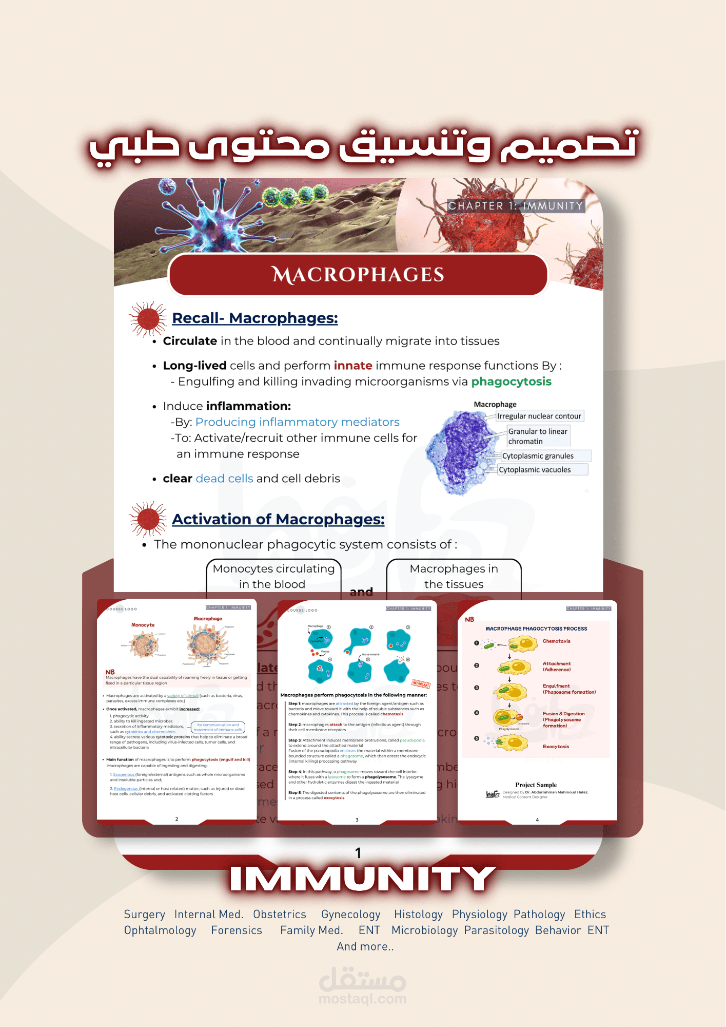 تصميم وتنسيق ملزمة طبية - اعادة صياغة السلايدات (Medical Content Design)