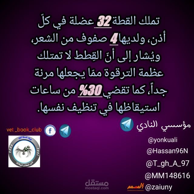 مصمم ومترجم هنا في موقع مستقل