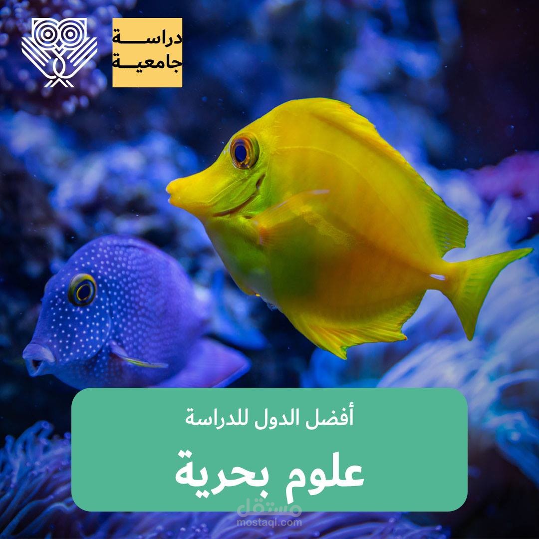 أفضل الدول لدراسة العلوم البحرية
