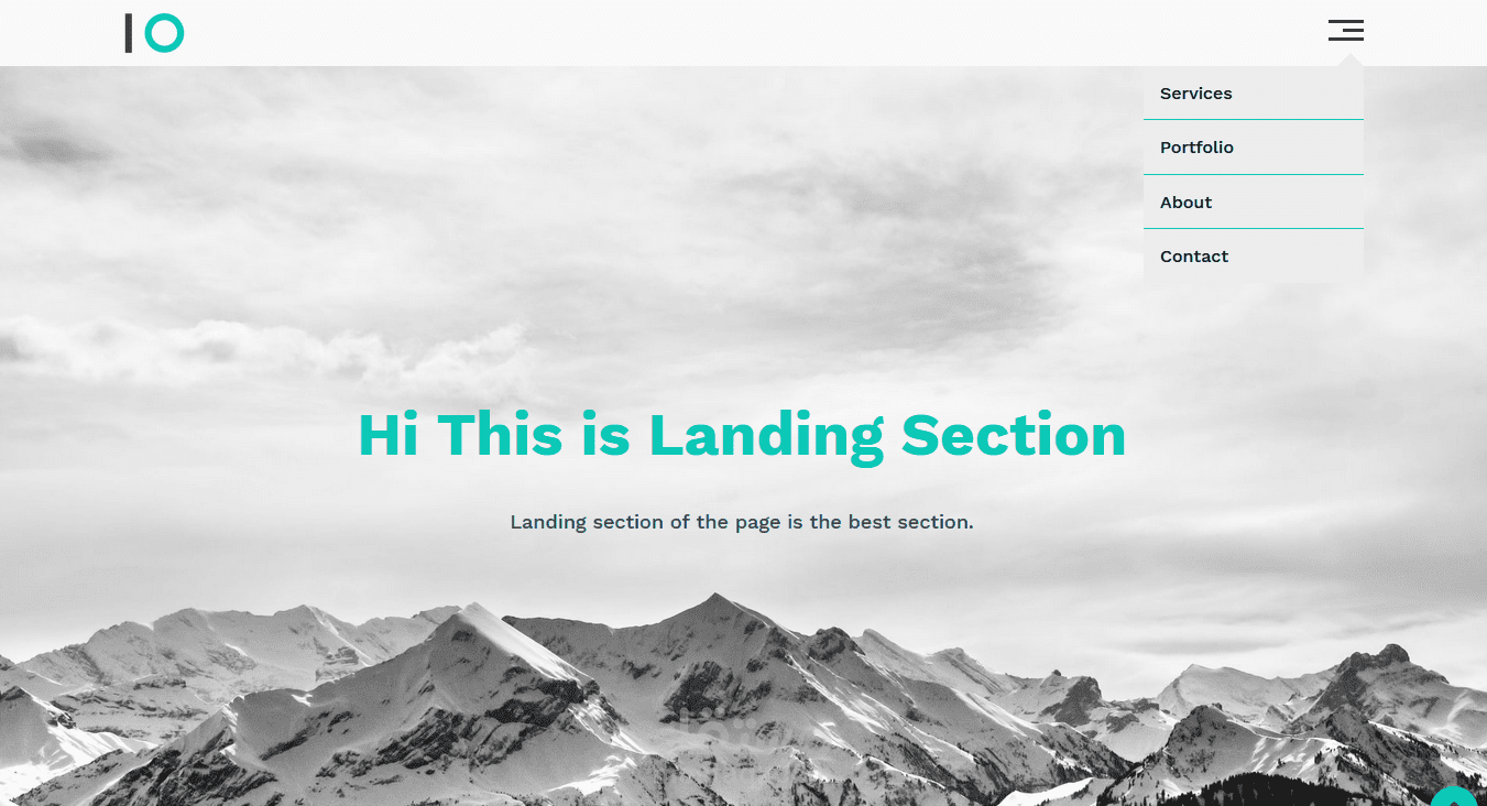 Agency design Website